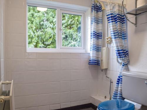 a bathroom with a window and a shower curtain at Cartref Bach in Llanwnen