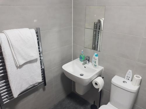 a bathroom with a white toilet and a sink at Stunning 1-Bed Apartment in Brierley Hill in Dudley