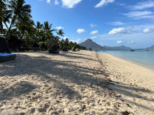 a sandy beach with palm trees and the ocean at Villa Tameva in Flic-en-Flac