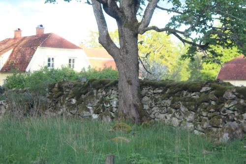 a stone wall with a tree in front of a house at Yxkullsund Säteri B&B - Manor & Estate since 1662 in Lagan