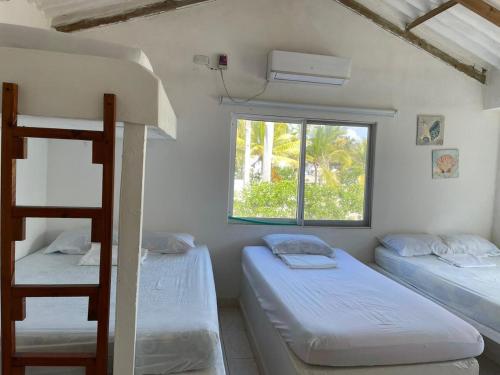 1 Schlafzimmer mit 2 Etagenbetten und einem Fenster in der Unterkunft Dolphin Green in San Silvestre