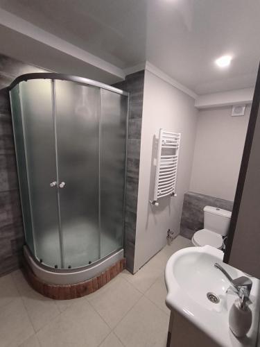 a bathroom with a shower and a sink and a toilet at guest house Calma in Tʼelavi