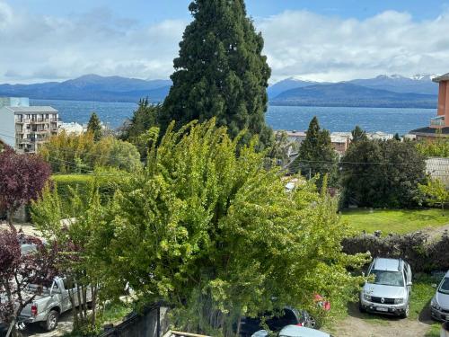 a large tree in a yard with cars parked at El Residencial Bariloche in San Carlos de Bariloche