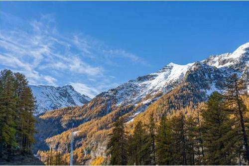 Naturlandskabet i nærheden af lejligheden
