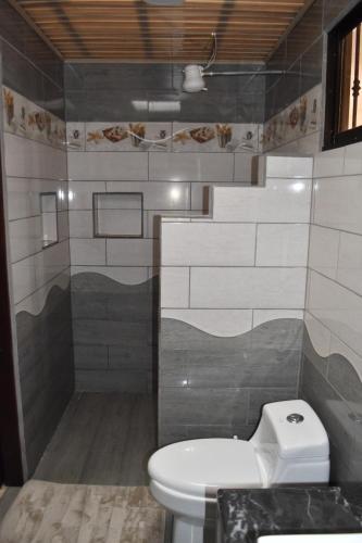 a bathroom with a toilet and a shower at SERENITY HOME H Y M in Turrialba