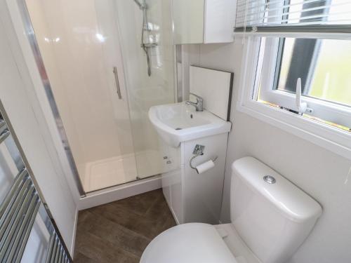 een witte badkamer met een toilet en een wastafel bij Swaledale Large Pod in Yarm
