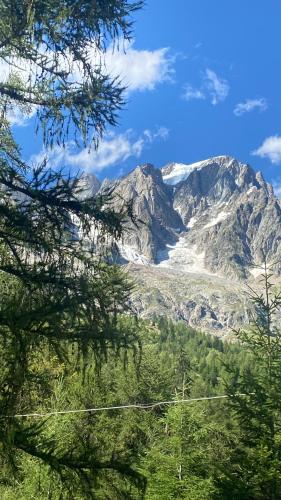Gallery image of Hotel Miravalle in Courmayeur