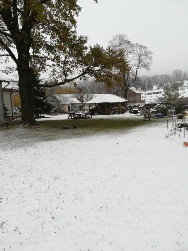 a snow covered park with a tree and a tent at Dwa Dęby in Lubawka