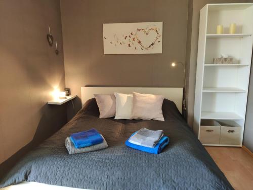 ホーエガイスにあるFerienwohnung Harzluchs mit Balkon, Netflix und Sauna im Hausのベッドルーム1室(枕2つ付)