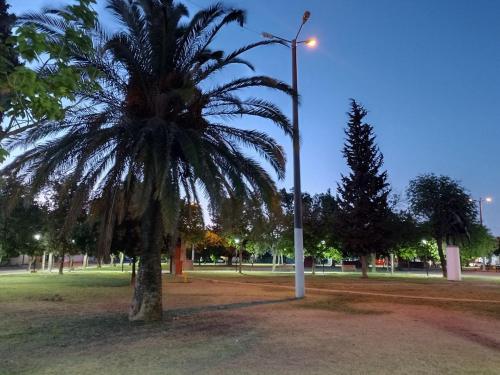 a palm tree in a park with a street light at Departamento Plaza España in San Rafael
