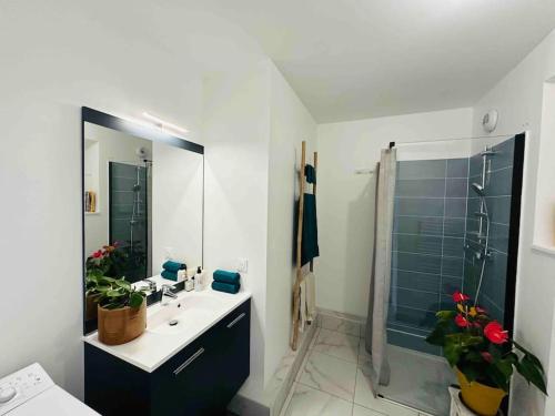 une salle de bain avec un lavabo et une douche dans l'établissement Cozy appart near la defense & Paris, à Bezons