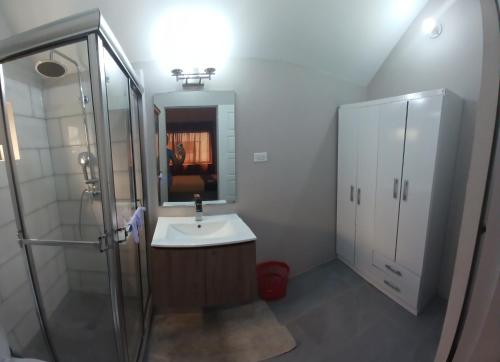 a bathroom with a sink and a shower and a mirror at COZY POD in Dabadie