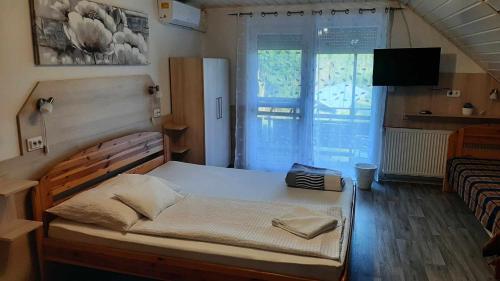 Barcs的住宿－HARTMANN PANZIÓ，一间卧室配有一张大床和电视
