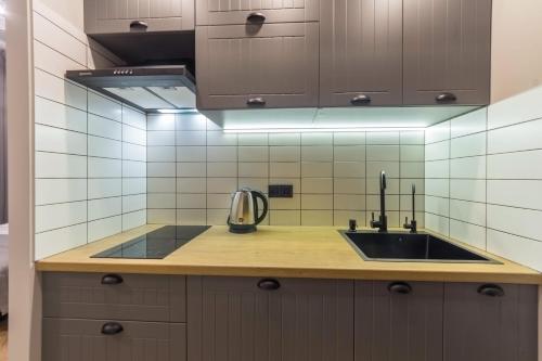a kitchen with a sink and a counter top at DayFlat Apartments Maidan Area in Kyiv