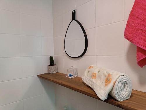 a bathroom with a mirror and a towel on a shelf at Apezinho 209 in São Leopoldo