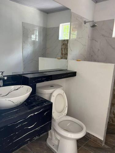 a bathroom with a sink and a toilet and a mirror at Finca Nirvana. in Agua de Dios