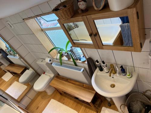 a bathroom with a sink and a toilet and a mirror at Double Room at Minster Cottage in Kings Lynn