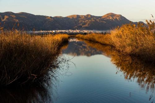 a view of a river with mountains in the background at RichMarHome in Pego