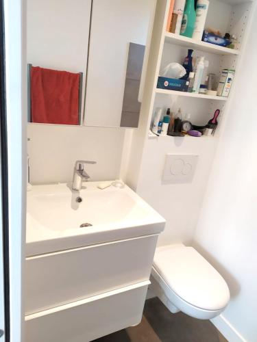 une salle de bain avec un lavabo et des toilettes dans l'établissement Appartement charmant à Saint-Ouen avec terrasse & vue sur ville, à Saint-Ouen