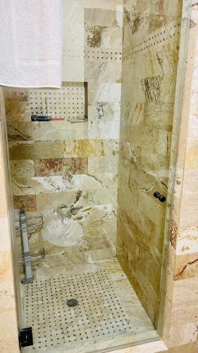 エンシノにあるPrivate Room View Pool Big Estate Oasis Extra Fee 4 Guest Clea-ning Pet WOMEN ONLYの石壁のバスルーム(シャワー付)