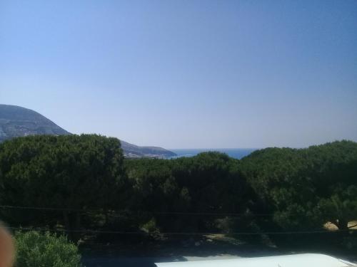 Vue sur une forêt avec des montagnes en arrière-plan dans l'établissement les grottes de bizerte, à Bizerte