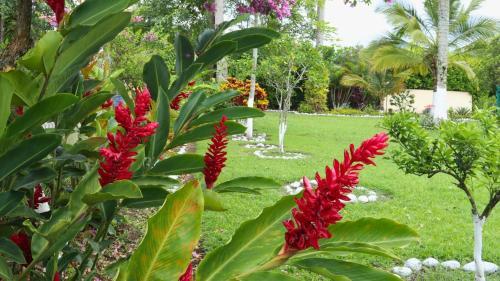Jardín al aire libre en Guayacanes del Café