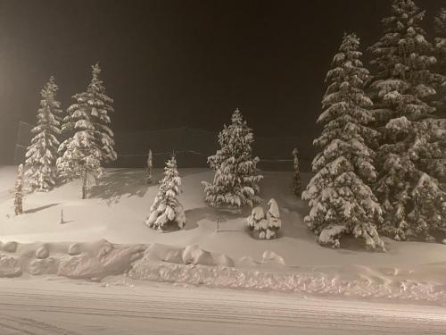 Antarès Location Avoriaz en invierno
