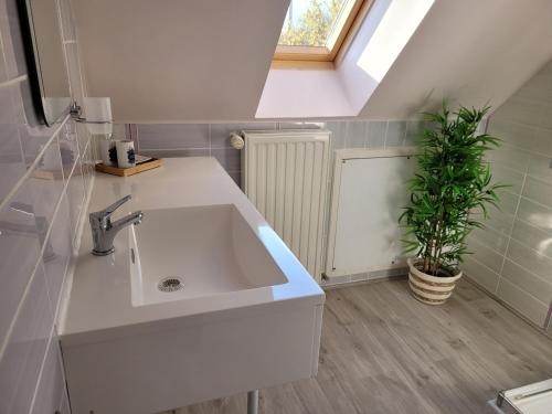 a bathroom with a white sink and a plant at Gîte Évasion idyllique à l'étage près zoo-chateaux in Faverolles-sur-Cher