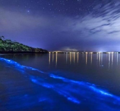 Casa Paraíso azul – Photos 2