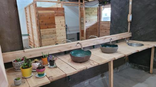 a bathroom counter with two sinks and potted plants at Jardin de Epicuro in Colonia Chapadmalal