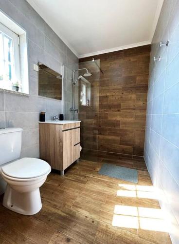 a bathroom with a toilet and a sink and a shower at A Tintureira in São Martinho de Antas
