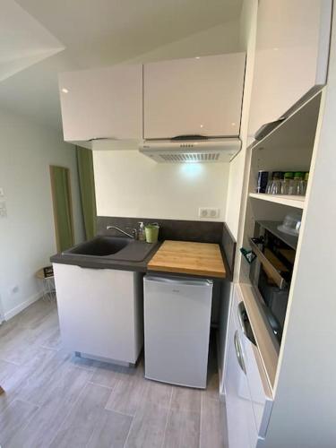 une petite cuisine avec un évier et un réfrigérateur dans l'établissement Studio en Rez de jardin Le clos des Cent Vignes à Beaune, à Beaune