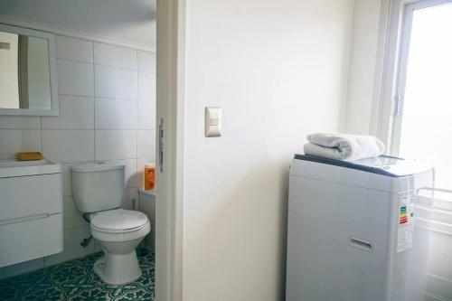 ein Badezimmer mit Toilette und einem kleinen Kühlschrank in der Unterkunft A orilla del rio, depto 2D/1B in Valdivia