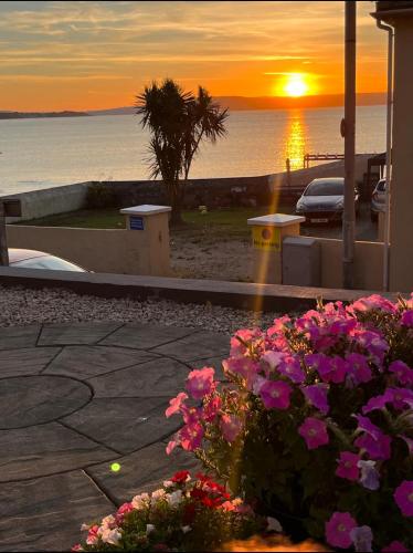 a sunset over the ocean with flowers in a yard at Contemporary Seaside Apartment in Bangor