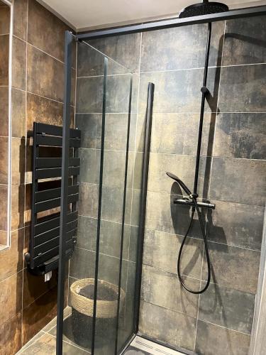 une douche avec une porte vitrée dans une salle de bain dans l'établissement Maison charmante avec spa à Niort, à Niort