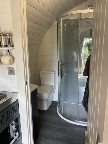 a bathroom with a shower and a toilet at Secluded Cosy Luxury Pod in Shrewsbury
