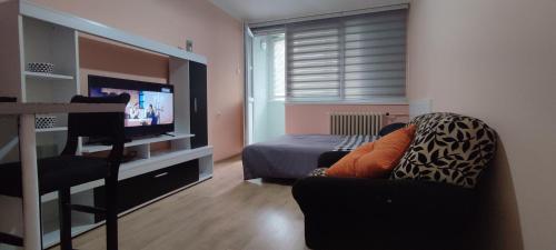 een woonkamer met een bed, een bank en een televisie bij Stan na dan Bor in Bor