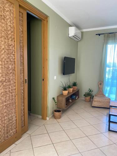 Μια τηλεόραση ή/και κέντρο ψυχαγωγίας στο My Corfu Luxury Villa with private pool