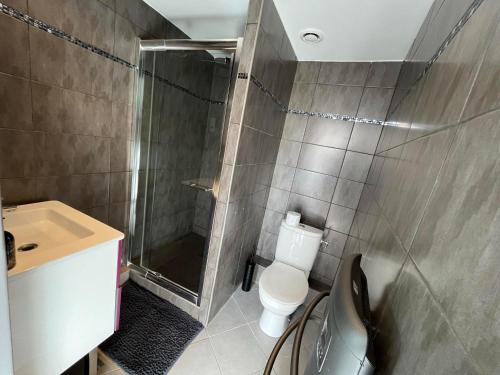 uma casa de banho com um chuveiro, um WC e um lavatório. em Studio proche Paris et aéroport d'Orly em Orly