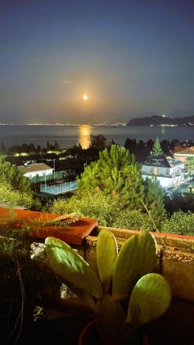 a cactus in front of a view of the ocean at Margherita sul mare - 250 m from the beach in San Giorgio