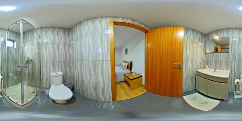 a bathroom with a toilet and a sink and a mirror at Casa das Camélias in Vieira do Minho