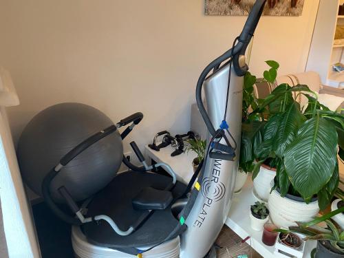 a room with a blow dryer next to some plants at Apartmán s garáží a balkónem in Plzeň