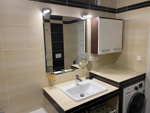 a bathroom with a sink and a washing machine at Apartmán s garáží a balkónem in Plzeň