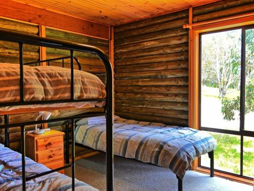 2 literas en una cabaña de madera con ventana en Cabin 3 - Snowy Accommodation, en Adaminaby