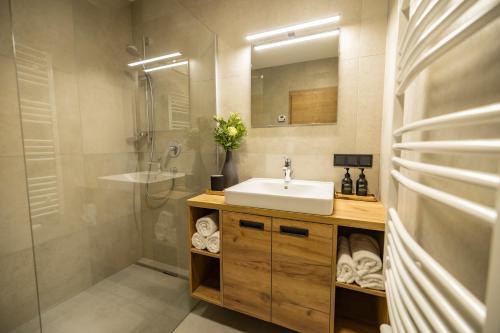 uma casa de banho com um lavatório, um chuveiro e um espelho. em RIVERSIDE RAURIS APARTMENTS em Rauris