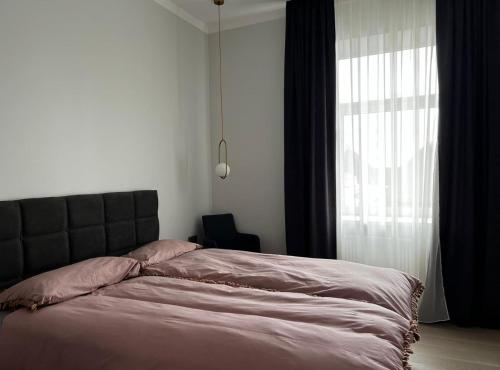 a bedroom with a large bed and a window at Raina apartment Gold in Jelgava