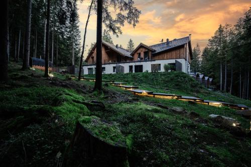 a house on top of a hill in a forest at Leśna Kąpiel in Karpacz