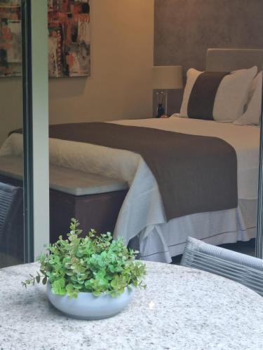 a plant sitting on a table in a bedroom at FLAT NA PRINCIPAL DE PIPA in Pipa