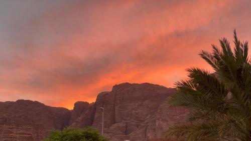 einen Sonnenuntergang in den Bergen mit einer Palme in der Unterkunft Wadi Rum desert Mohammed in Wadi Rum