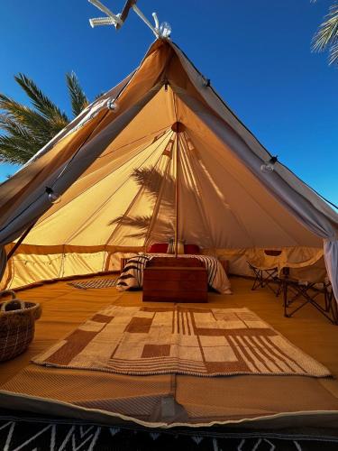 a tent with a bed in it with a palm tree at High Tanks Hideaway in Wellton